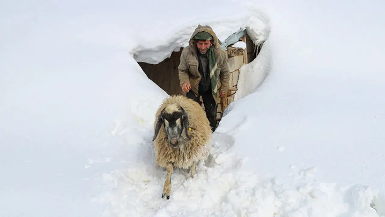 Freule van Sas and the 1933 Founding of Rijssen's 't Witte Hoes